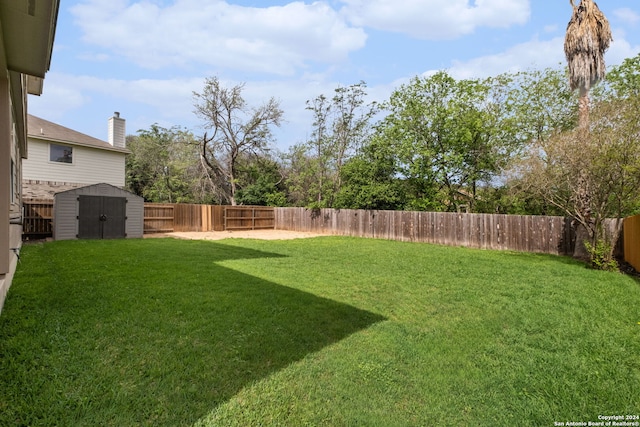 view of yard featuring a storage unit