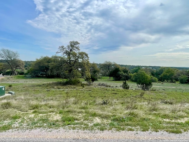 119 Lewis Todd, Blanco TX, 78606 land for sale