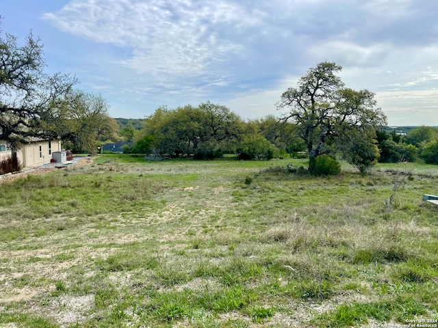 117 Lewis Todd, Blanco TX, 78606 land for sale