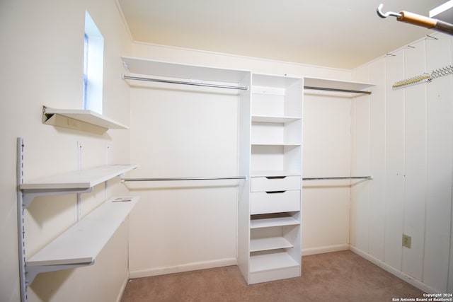 spacious closet with light colored carpet