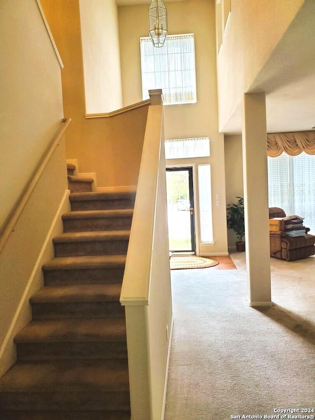 staircase with a high ceiling, carpet floors, and a wealth of natural light