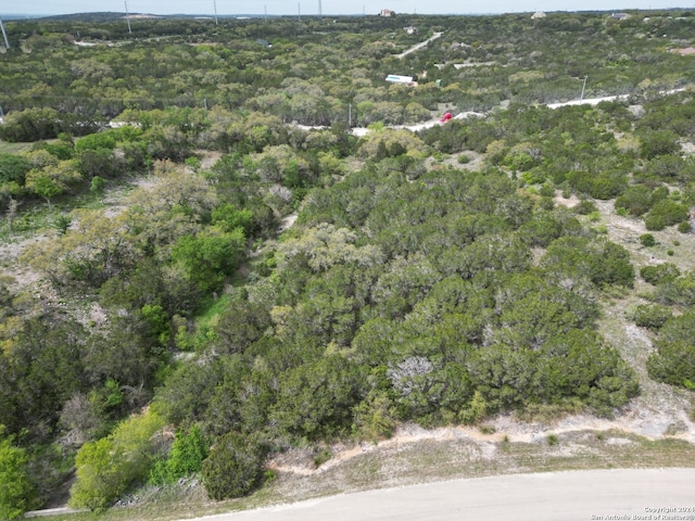 Listing photo 2 for LOT35 Country Road 2801 W, Mico TX 78056