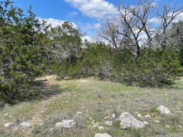 Listing photo 3 for 000 Comanche Trl, Pipe Creek TX 78003