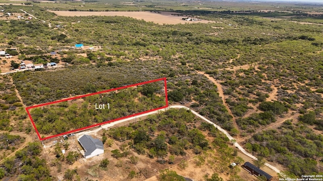 0 Fm 1343, Devine TX, 78016 land for sale