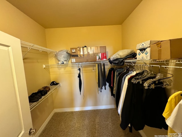 spacious closet with carpet