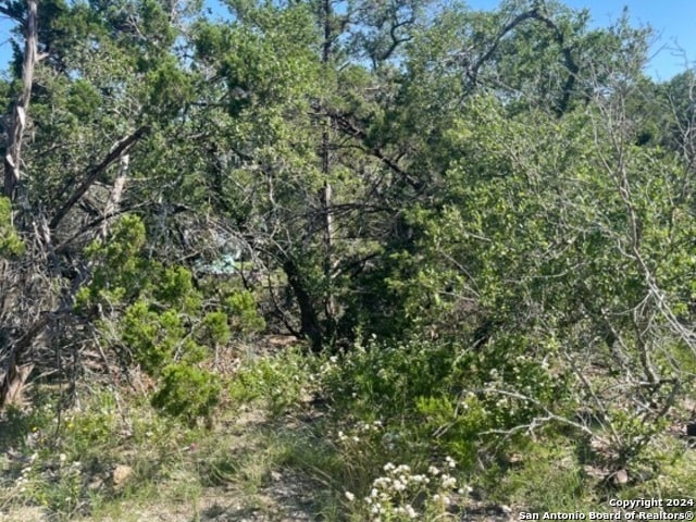 00 Tbd, Spring Branch TX, 78070 land for sale