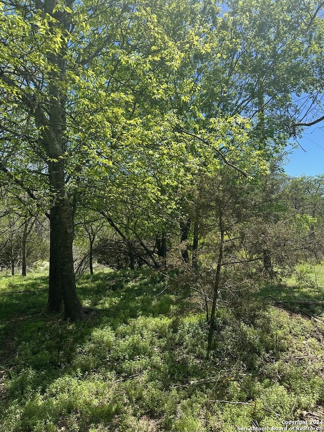 Listing photo 3 for LOT348 River Bend Rd, Bandera TX 78003