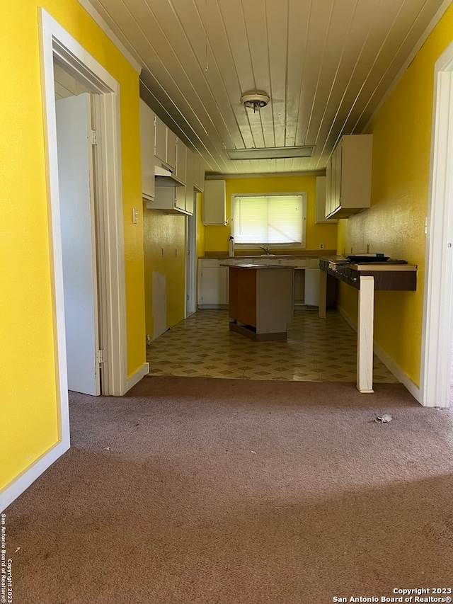 kitchen featuring light carpet and sink