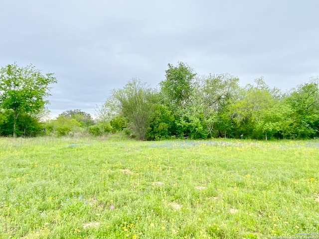 Listing photo 3 for 210 Shamrock Dr, Floresville TX 78114