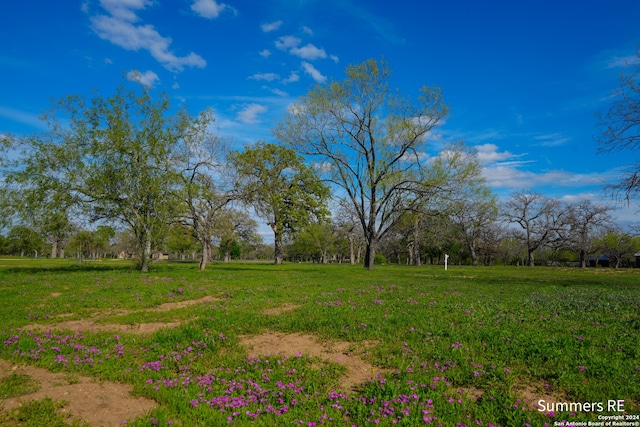 Listing photo 2 for LT11 Vintners Way, Fredericksburg TX 78624