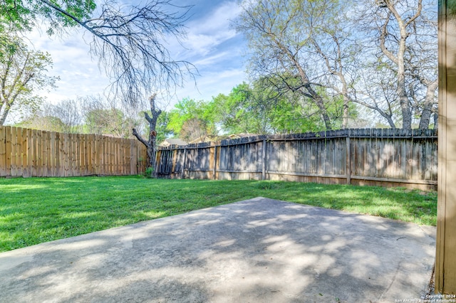 view of yard featuring a patio