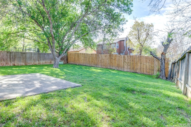 view of yard featuring a patio area