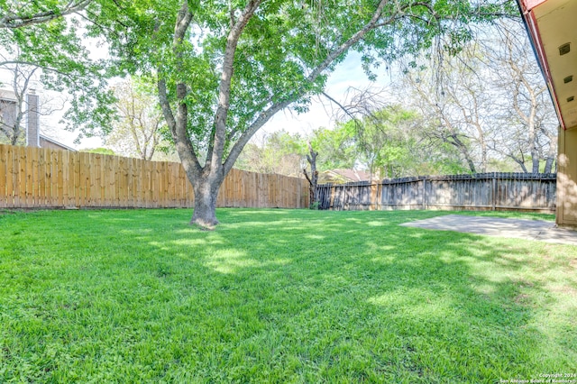 view of yard with a patio