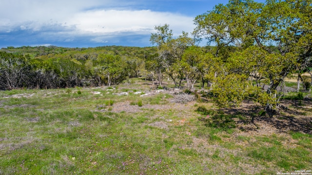 323 Serenity Pass, Spring Branch TX, 78070 land for sale