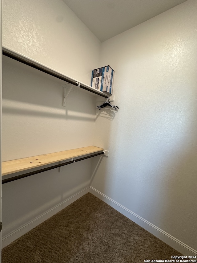 spacious closet featuring carpet