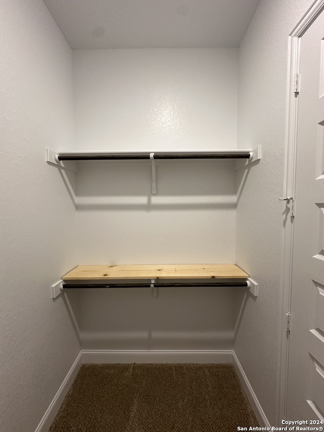 spacious closet with carpet