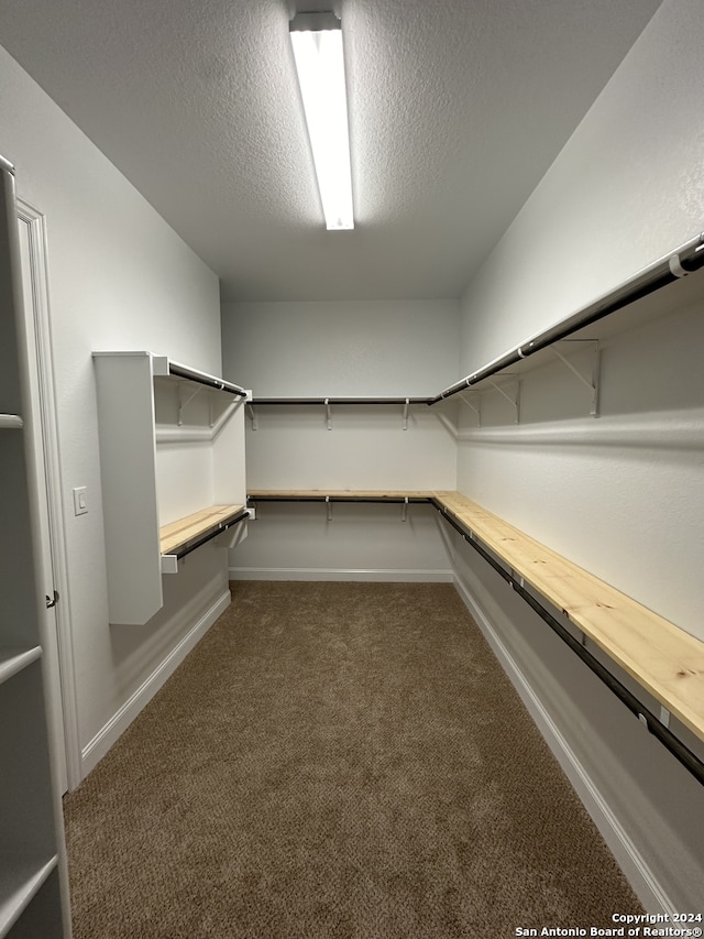 walk in closet with dark carpet