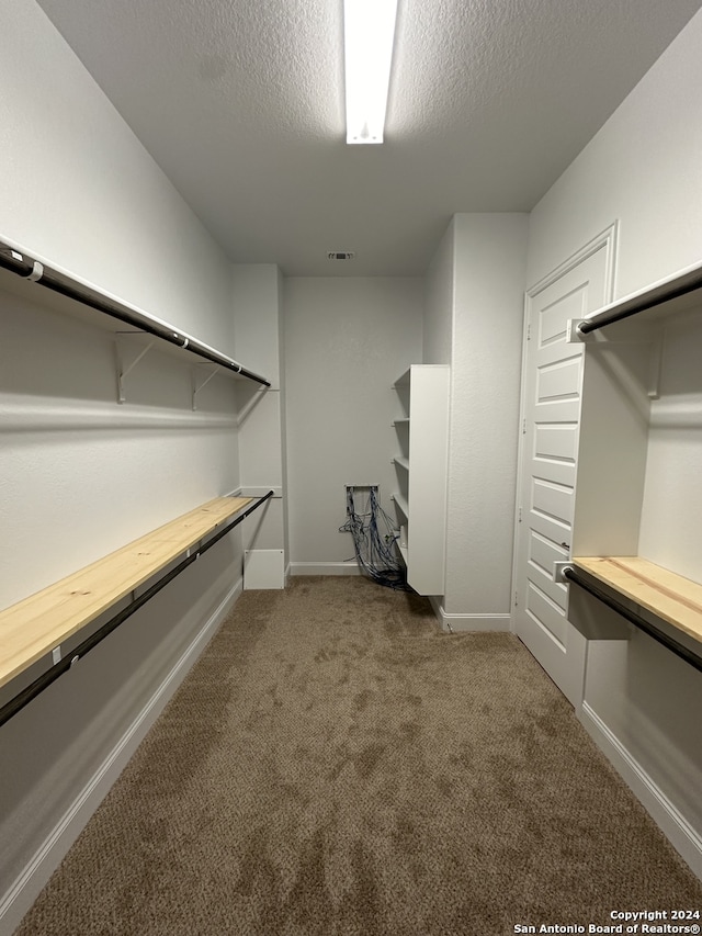 walk in closet with carpet