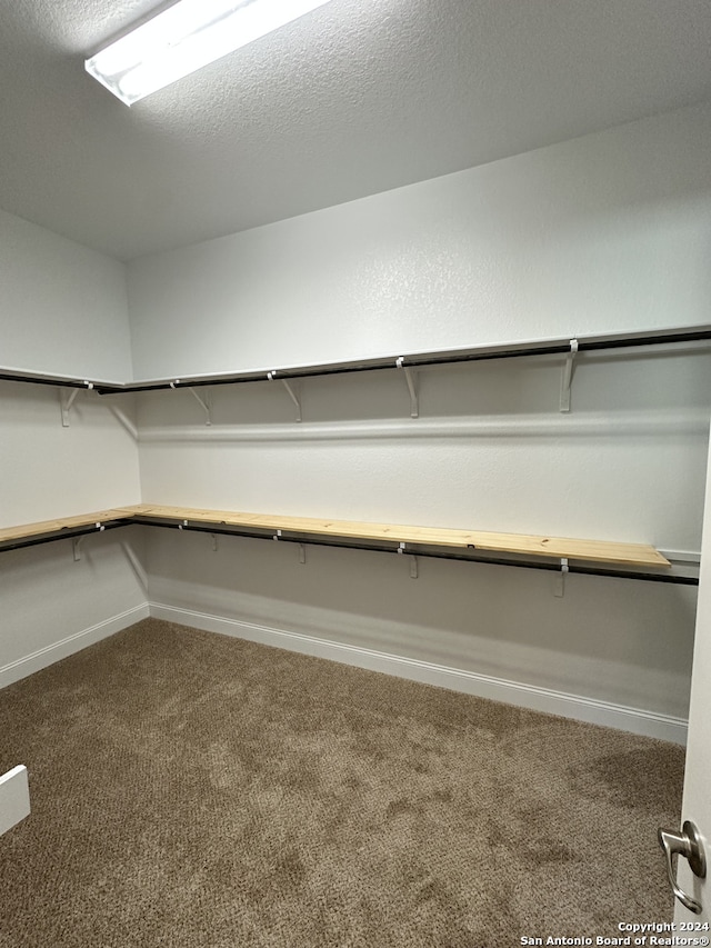 walk in closet featuring carpet flooring