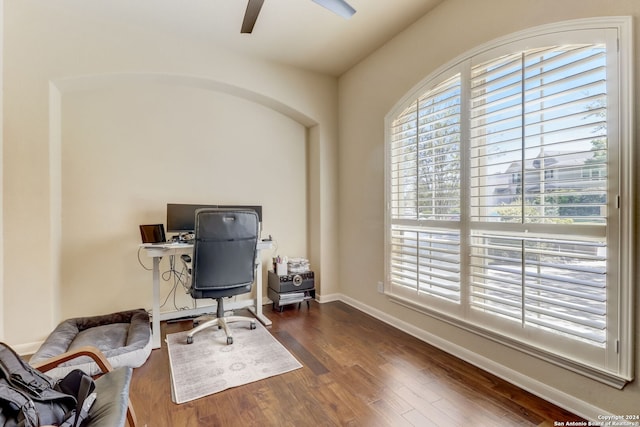 office space featuring ceiling fan and dark hardwood / wood-style flooring