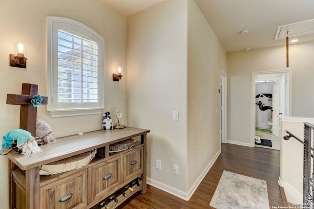 interior space with dark hardwood / wood-style flooring