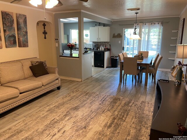 interior space featuring a textured ceiling, ornamental molding, ceiling fan, and light wood-type flooring