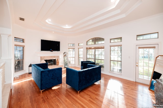 living room featuring crown molding, a tray ceiling, and light wood-type flooring