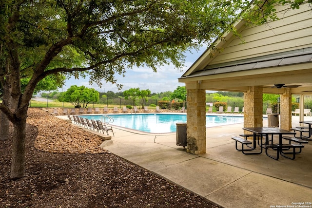 view of pool featuring a patio area and ceiling fan