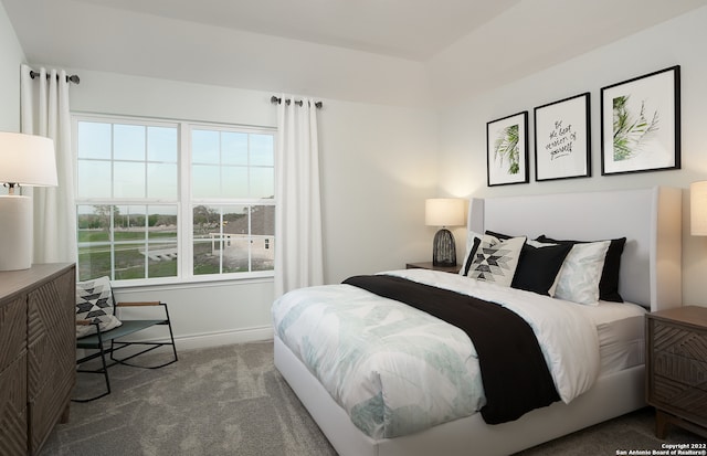 bedroom featuring multiple windows and dark colored carpet