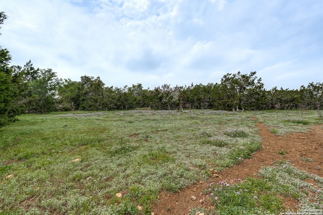 view of yard featuring a rural view