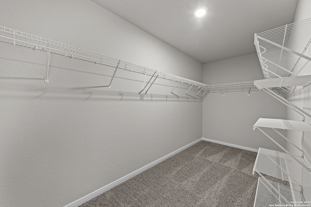 spacious closet with carpet flooring