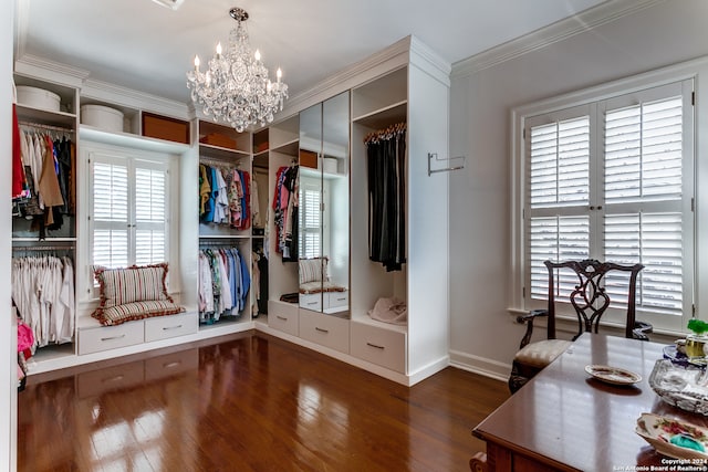 walk in closet featuring dark hardwood / wood-style floors and a chandelier