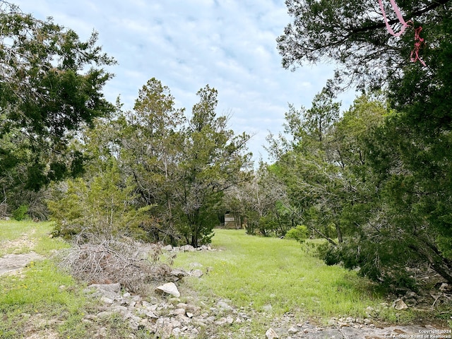 0 Forest Lake Dr, Spring Branch TX, 78070 land for sale