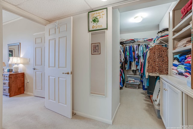 walk in closet with light carpet and a drop ceiling