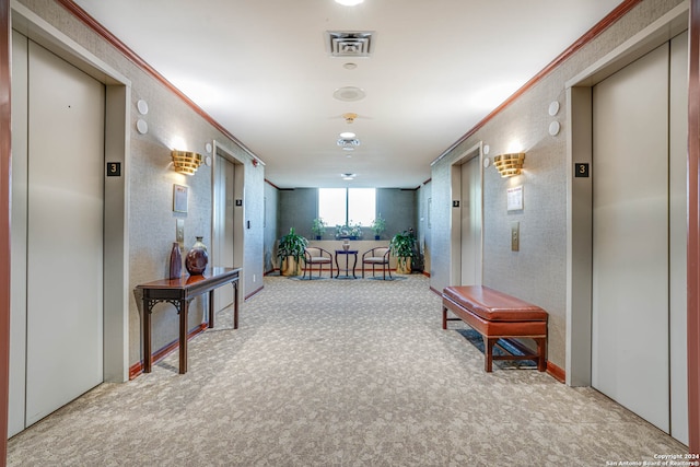 corridor featuring light colored carpet, ornamental molding, and elevator