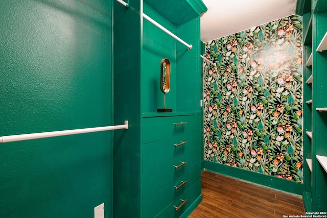 spacious closet with wood-type flooring