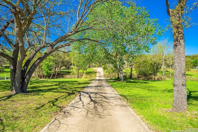 view of property's community with a yard