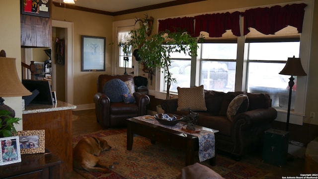 living room with ornamental molding