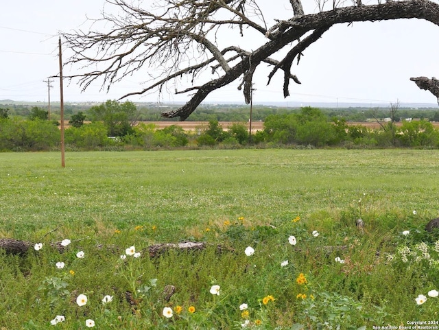 view of yard featuring a rural view