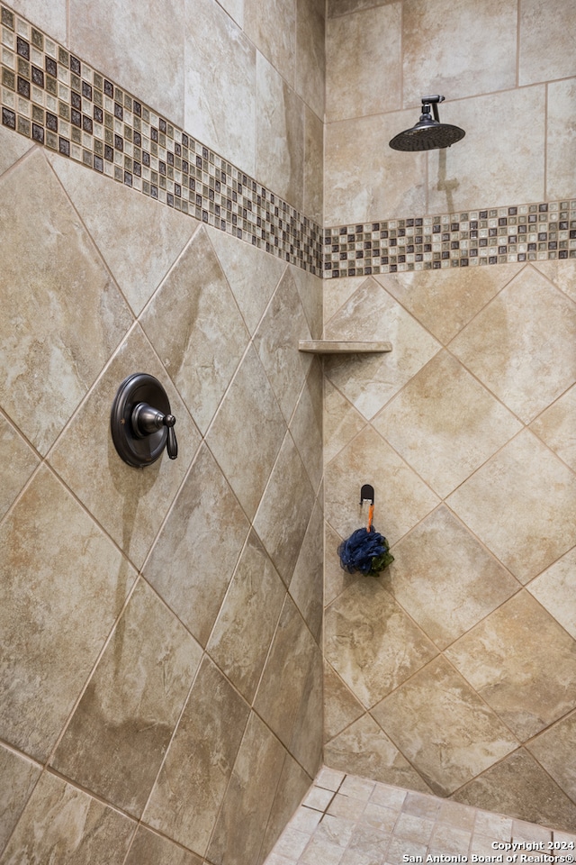 room details with tiled shower