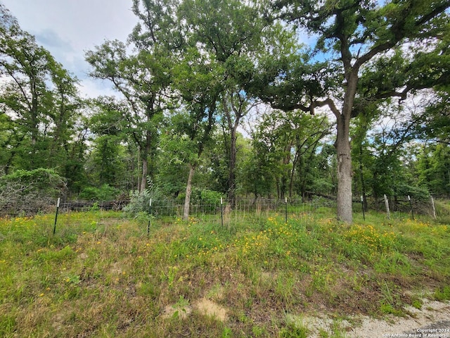 1247 Vivroux Ranch Rd, Seguin TX, 78155 land for sale