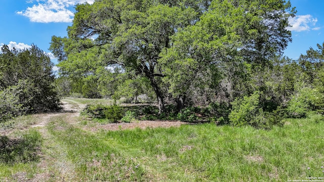 Listing photo 3 for 102 Crested Butte, Boerne TX 78006