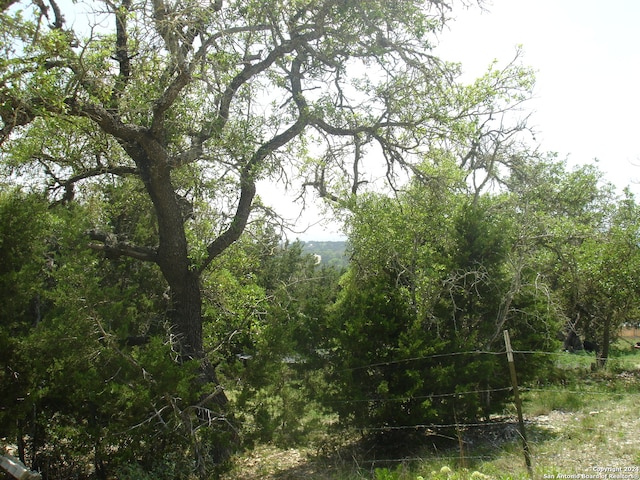 view of mother earth's splendor