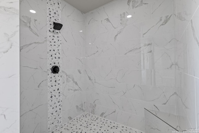 room details with tiled shower