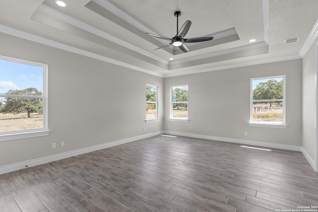 empty room featuring a raised ceiling, plenty of natural light, and ornamental molding