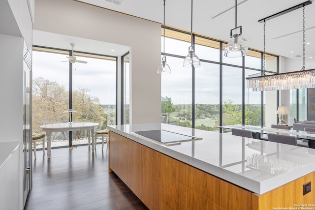 kitchen with pendant lighting, ceiling fan with notable chandelier, a center island, dark hardwood / wood-style floors, and black electric cooktop