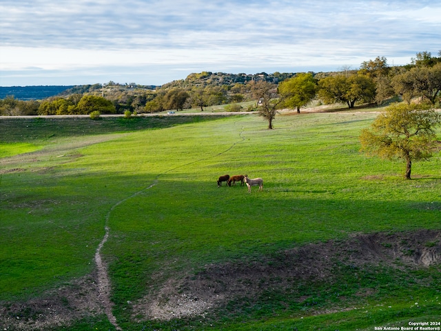 surrounding community featuring a rural view