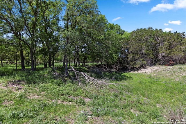 Listing photo 2 for 729 Rabbit Rd, Wimberley TX 78676