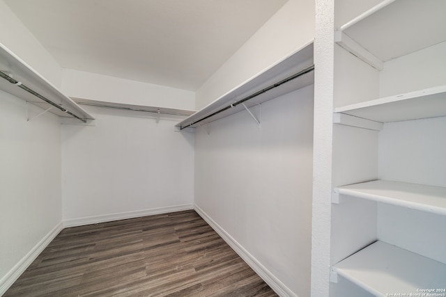 walk in closet featuring dark hardwood / wood-style floors