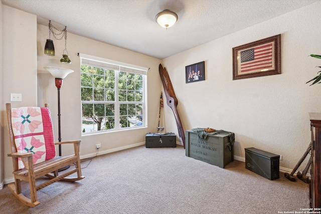 living area with a textured ceiling, a wealth of natural light, and carpet floors